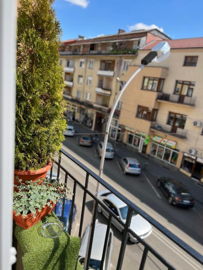 Bulevard Apartments サトゥ・マーレ エクステリア 写真